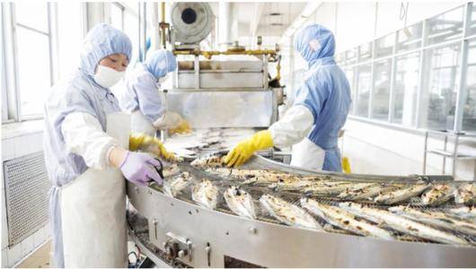 食品廠除塵系統(tǒng)的優(yōu)化方案與日用雜品生產(chǎn)應(yīng)用實踐